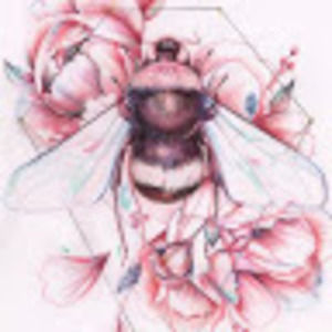 Meet your Posher, Brittney